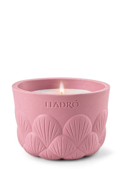 Velas