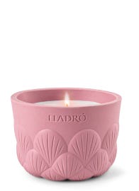 Velas