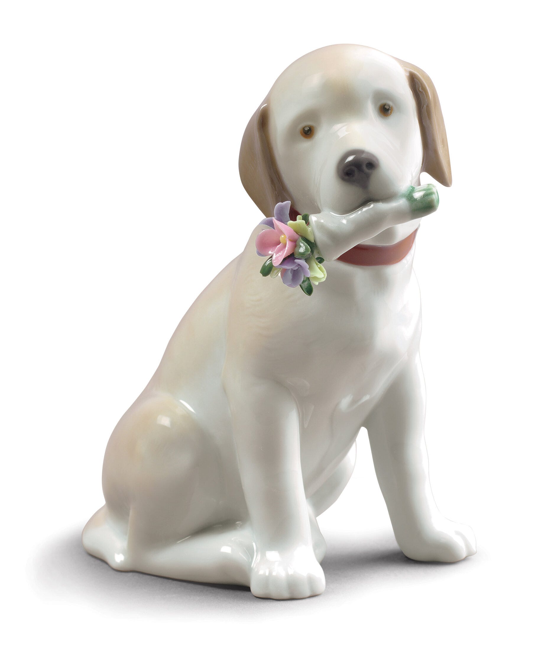 Questa statuina di cane bouquet è per te