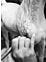 Thumbnail 5 of 6