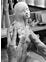Thumbnail 6 of 6