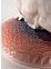 Thumbnail 6 of 6