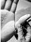 Thumbnail 9 of 9