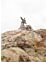 Thumbnail 2 of 6