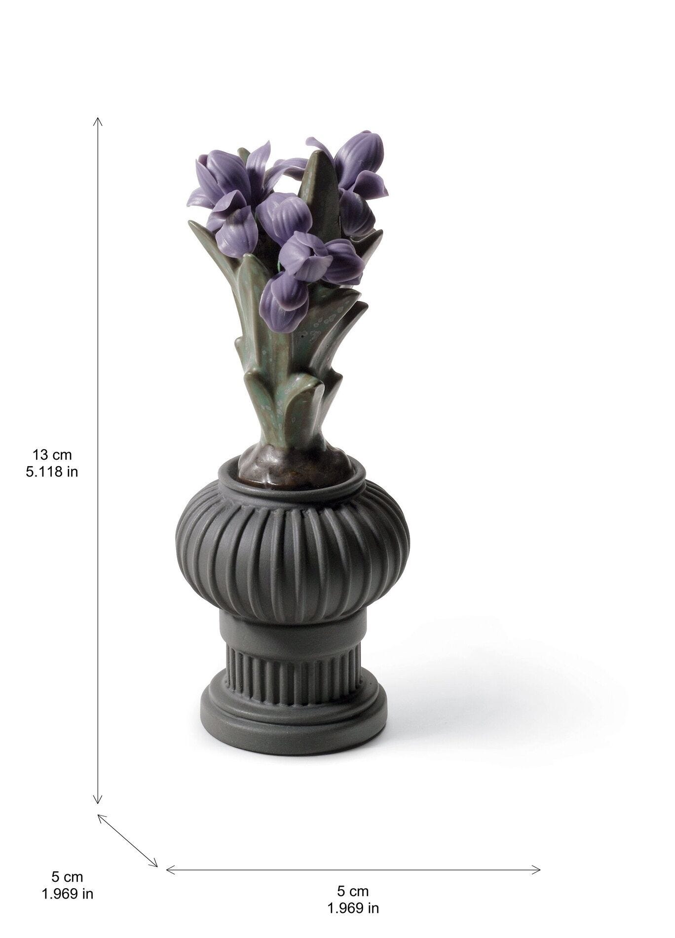 ア・シュロップシャイア・ラド バラ ( 正規品)と黒真珠バラの2種のセット販売 菖蒲 | リヤドロ公式オンライン