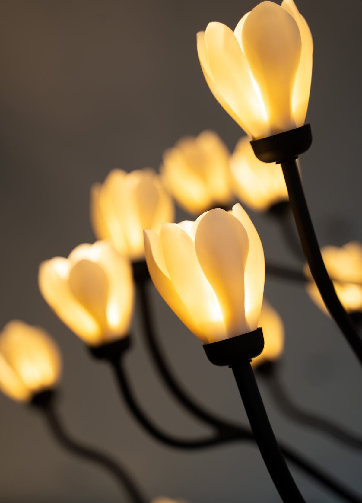 うー Novelbright BRIGHT1、Chandelier Mokuren Chandelier (CE/UK) | Lladró® Hong Kong