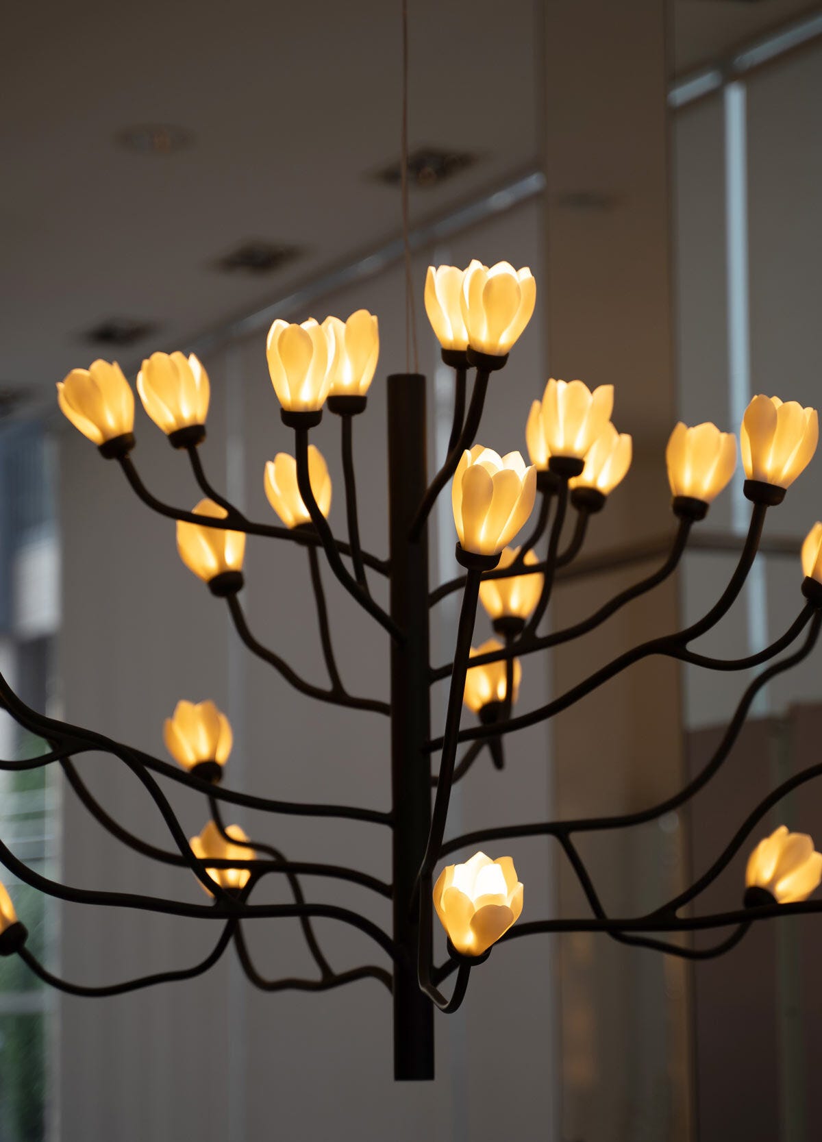 うー Novelbright BRIGHT1、Chandelier Mokuren Chandelier (CE/UK) | Lladró® Hong Kong