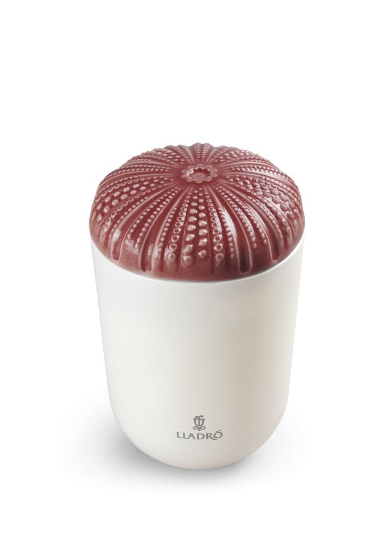 Echoes of Nature Candle. Mediterranean Beach, 1 of 5