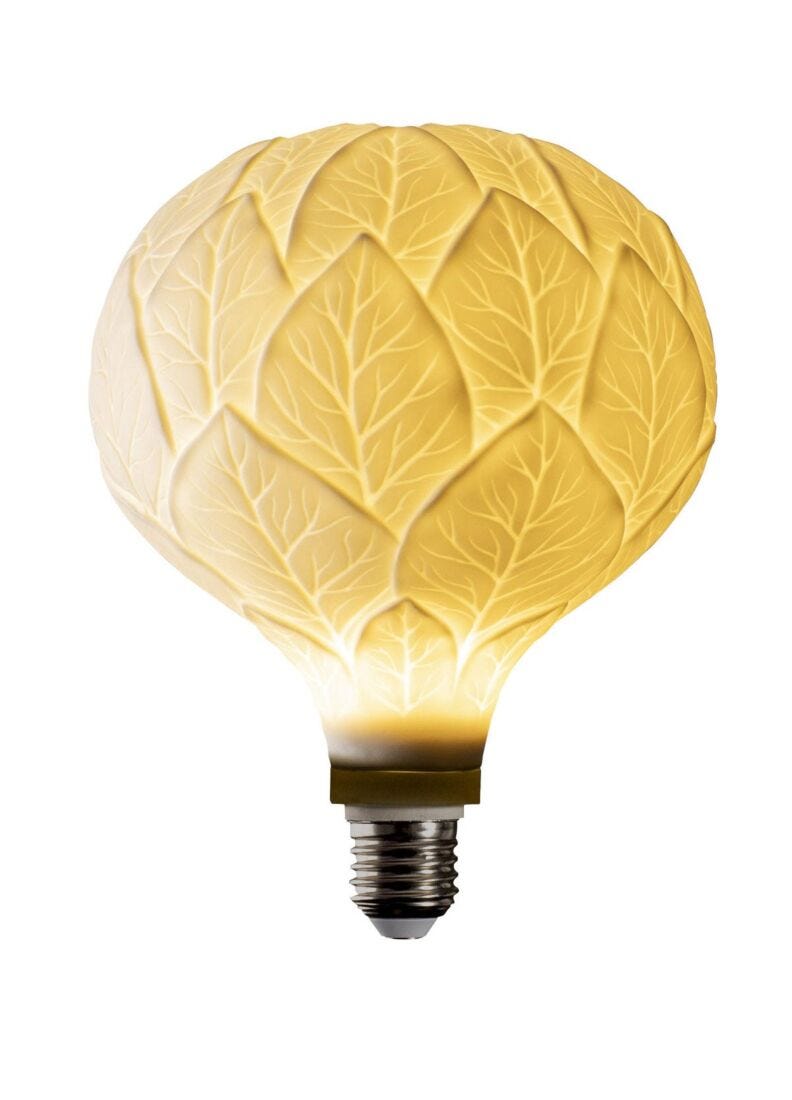 Oak bulb, 1 of 1