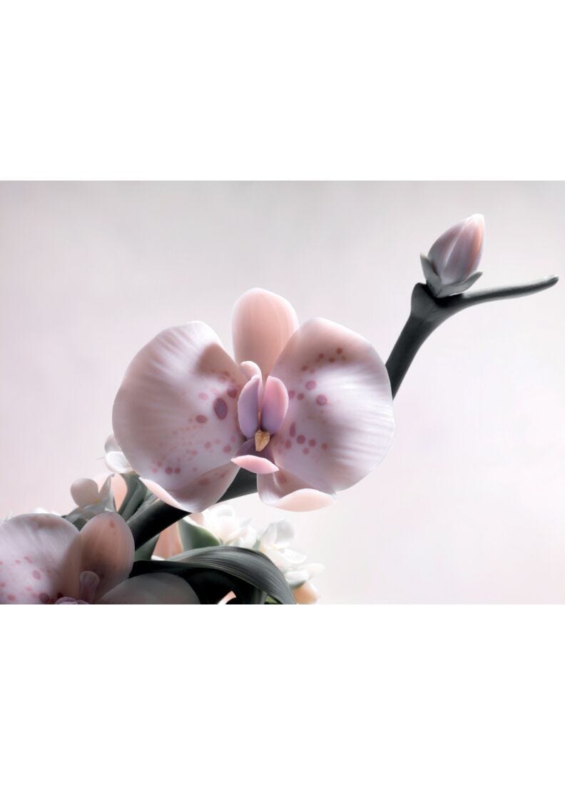 Vaso orchidee selvatiche. Edizione limitata in Lladró