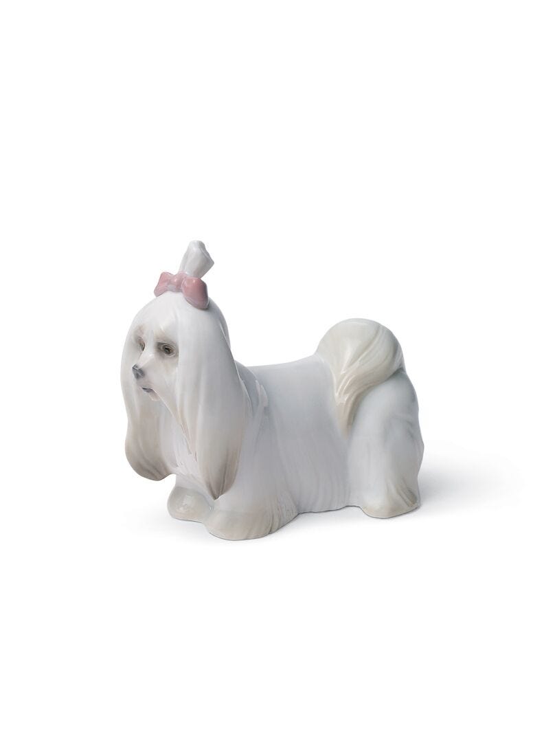 Maltese Dog Figurine in Lladró