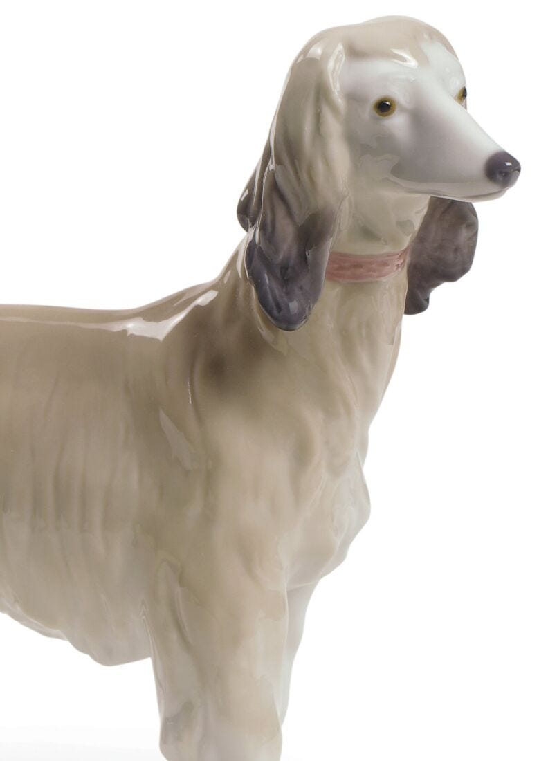 Afghan Hound Dog Figurine in Lladró