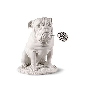 Bulldog with lollipop Sculpture. Re-Deco