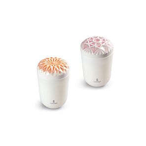 Echoes of Nature Candle Set