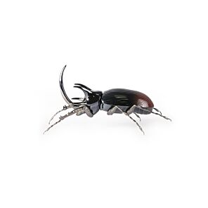 Rhinoceros Beetle Figurine