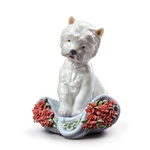 Figura perro Carácter juguetón con claveles
