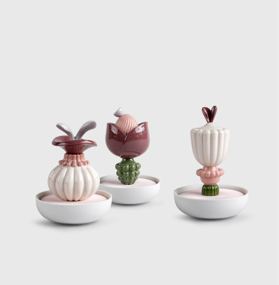 Light and Scent collections