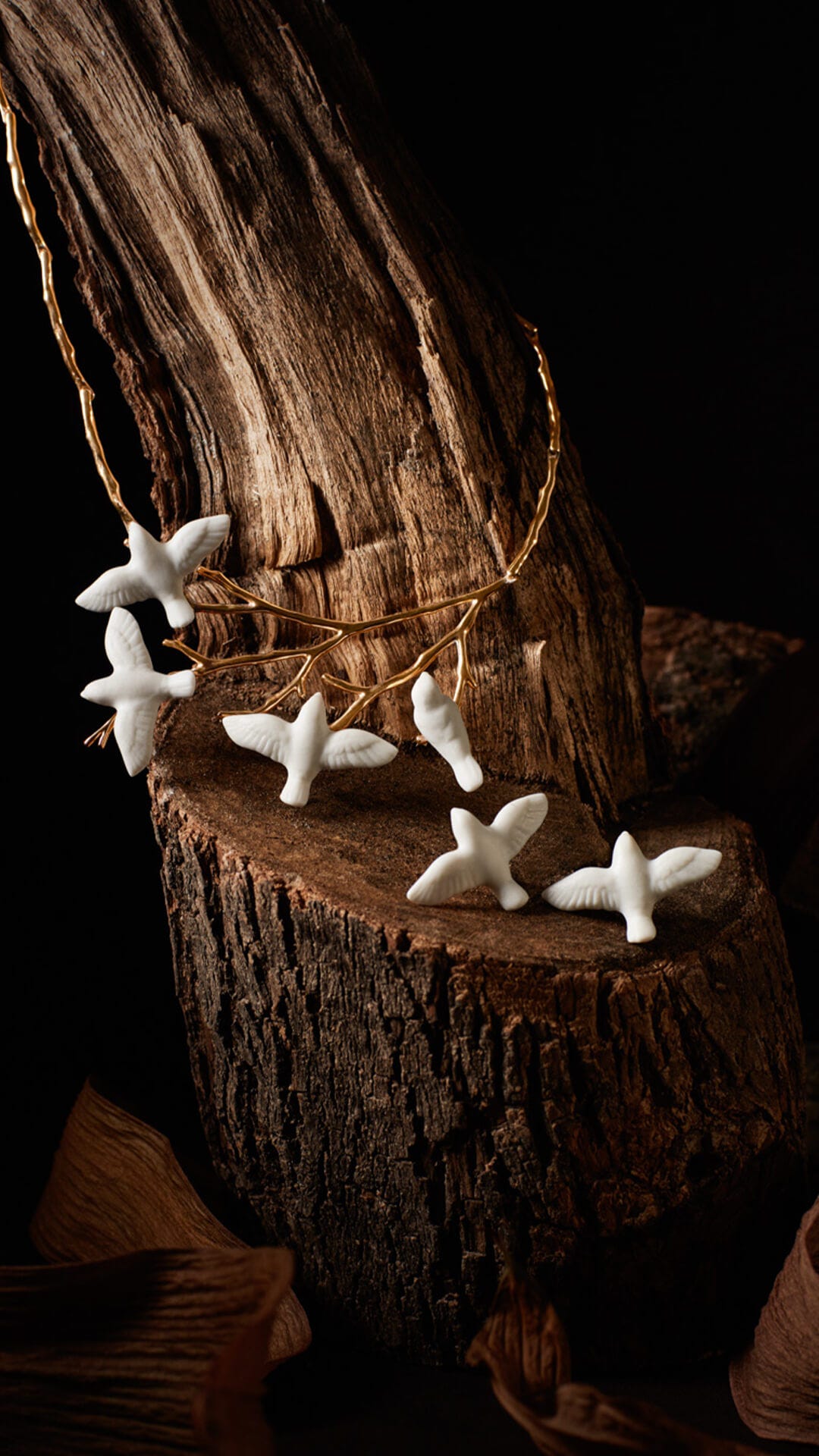 Jewelry collections