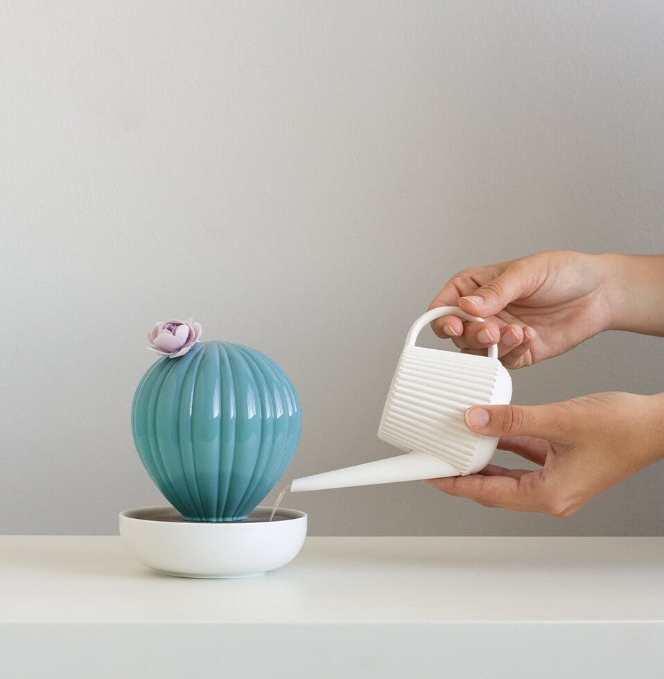 Light and Scent collections