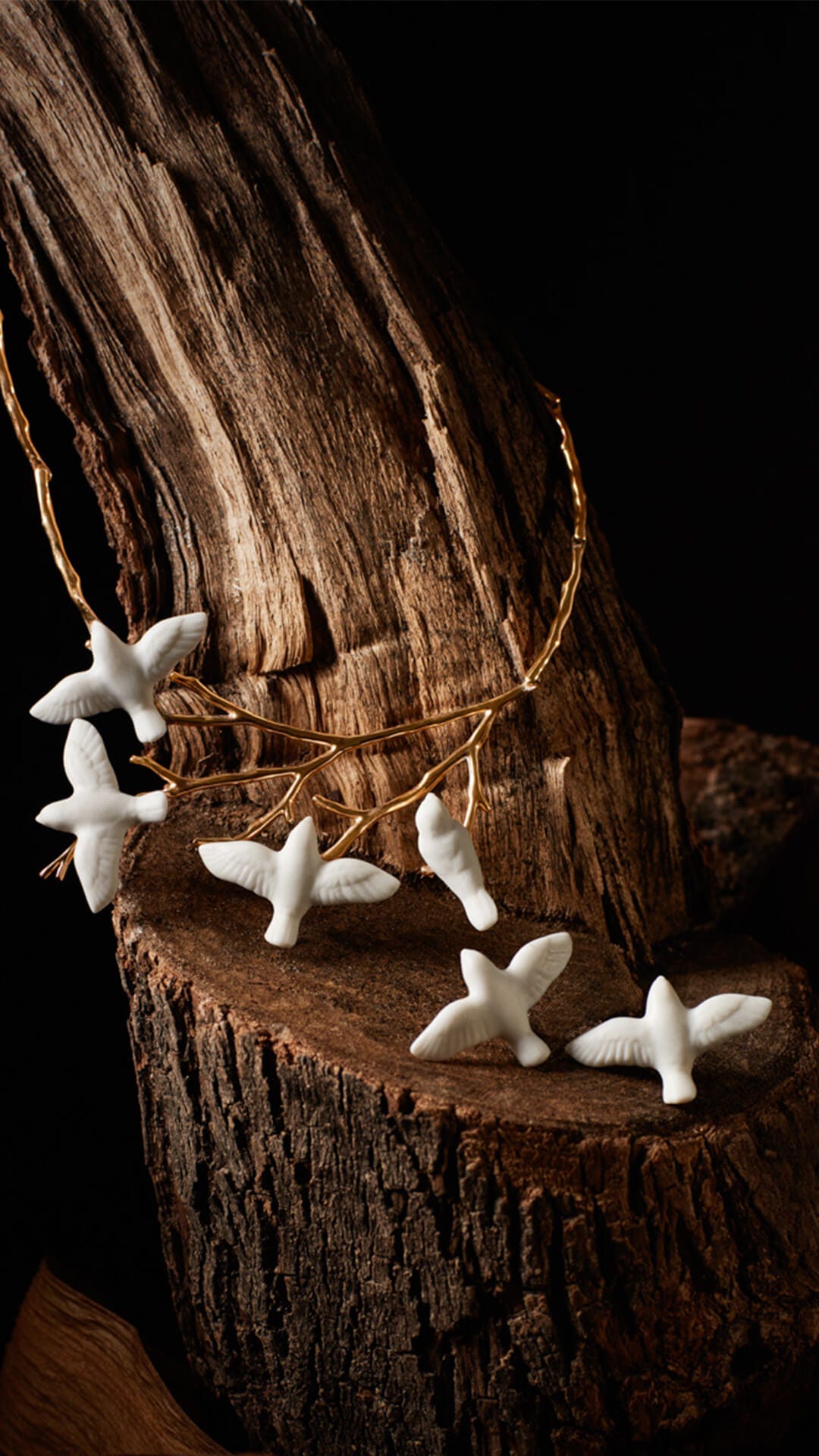 Jewelry collections