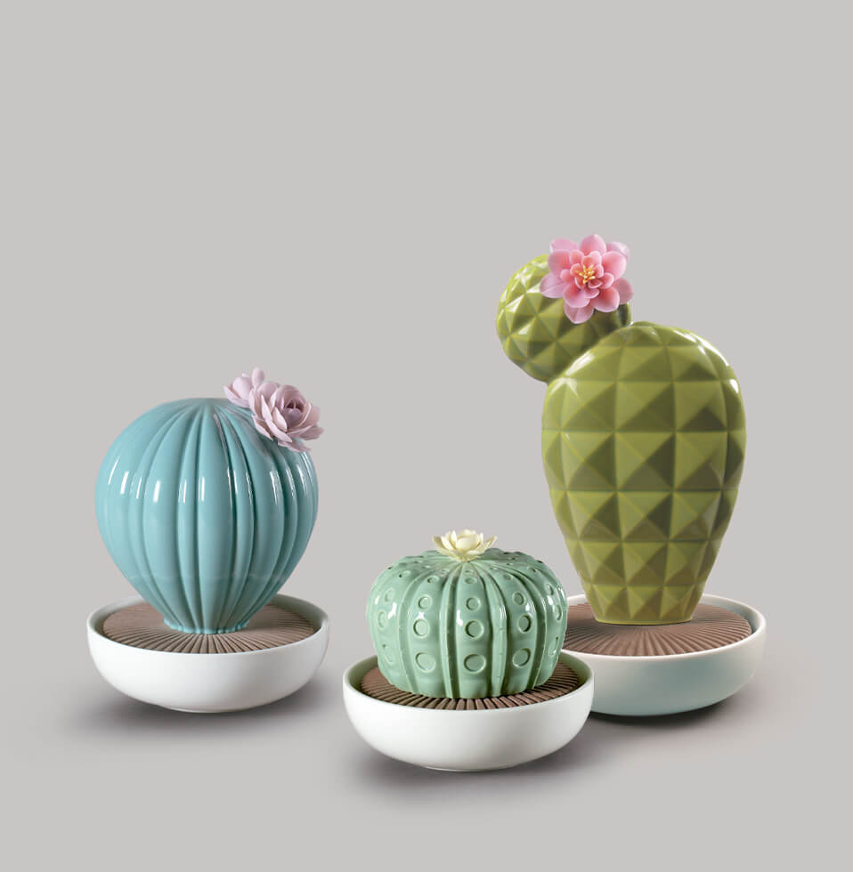 Light and Scent collections