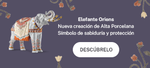proceso caballo