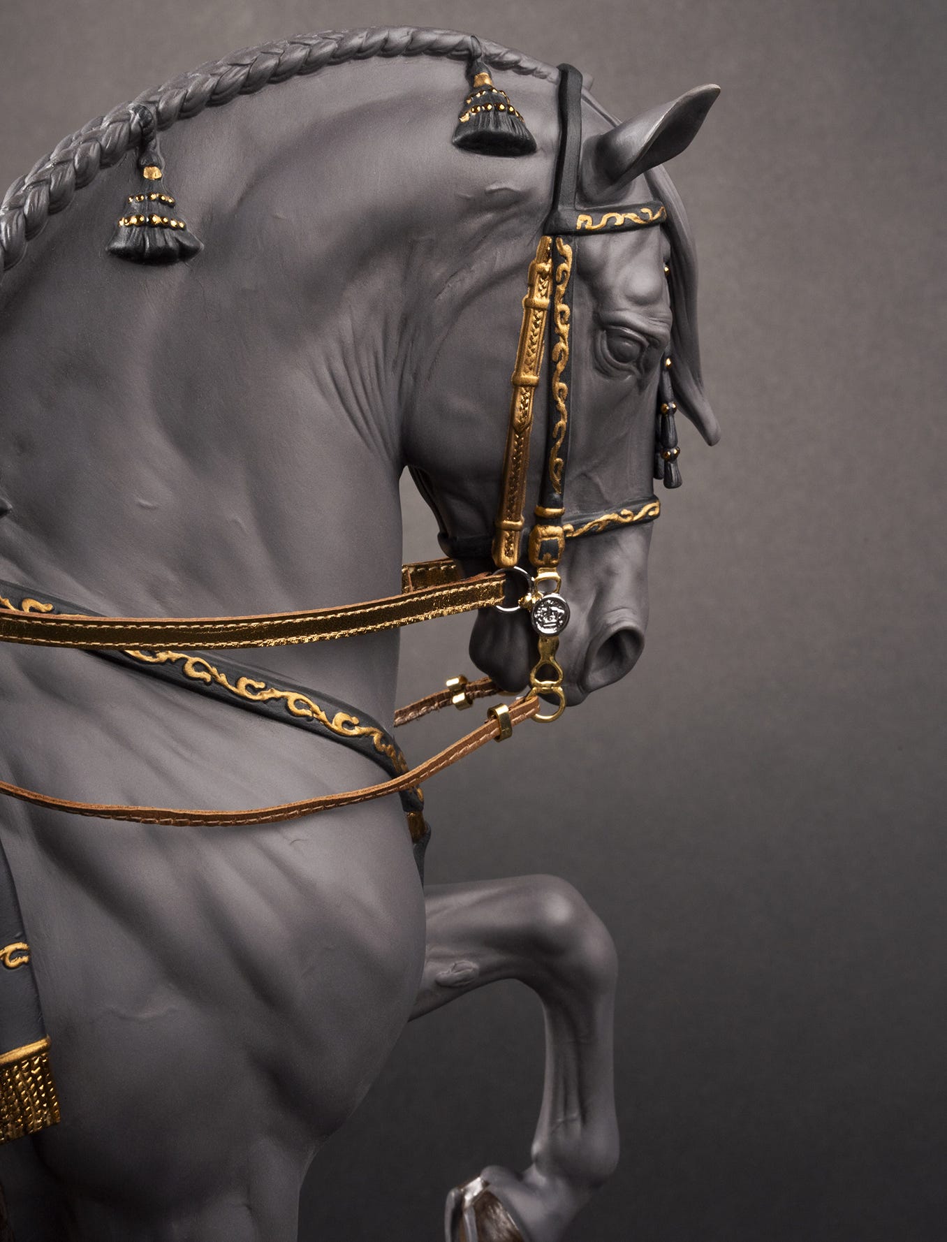 Black Spanish Horse, rear view with embroidered blanket.