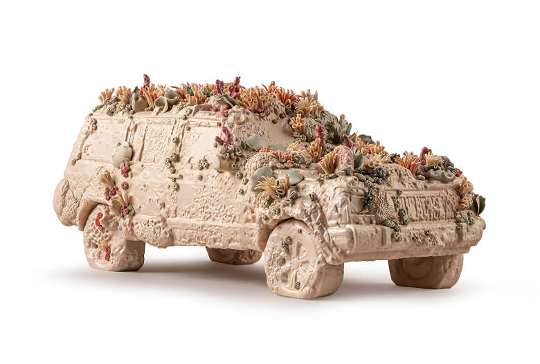 Close-up of corals and textures in 'The Coral Car'