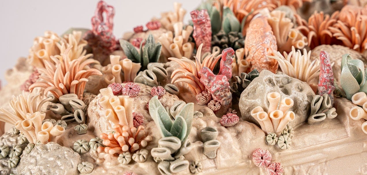 Side view of 'The Coral Car' installation showing sculptural composition