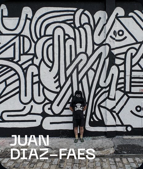 The Guest by Juan Diaz Faes